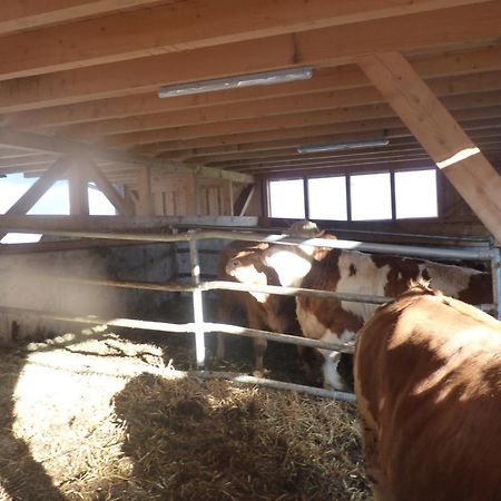 Landgut Wagnerfeld Lägenhet Altmünster Exteriör bild