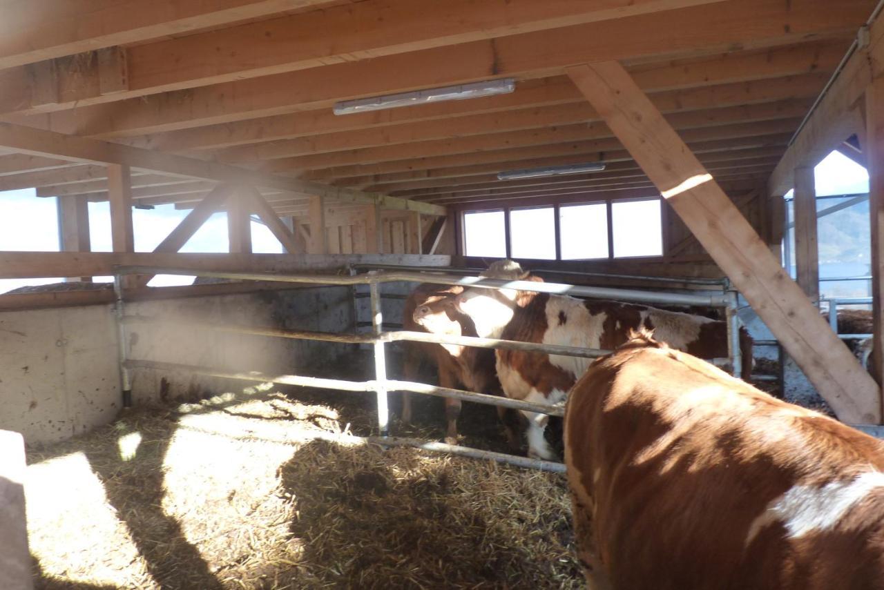 Landgut Wagnerfeld Lägenhet Altmünster Exteriör bild