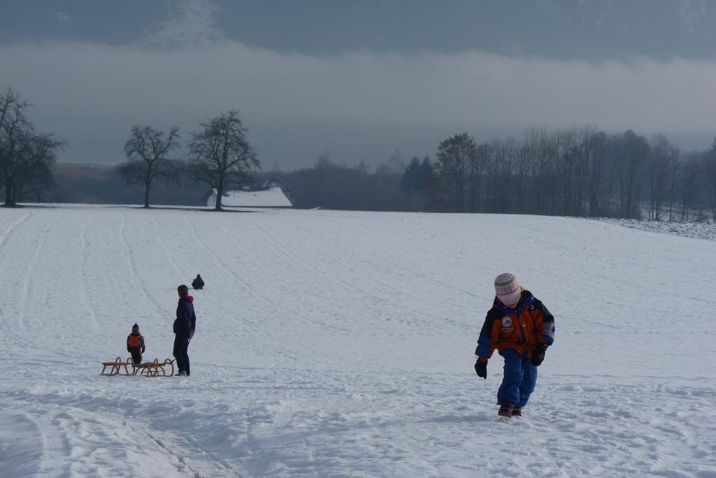 Landgut Wagnerfeld Lägenhet Altmünster Exteriör bild