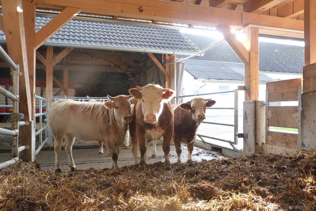 Landgut Wagnerfeld Lägenhet Altmünster Exteriör bild