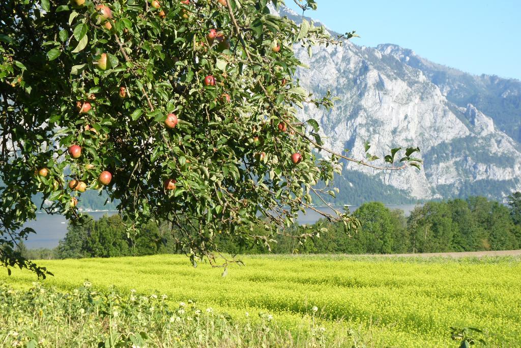 Landgut Wagnerfeld Lägenhet Altmünster Exteriör bild